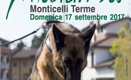 9° mobility dog Centro Punto Blu Monticelli Terme