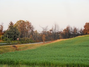 Via San Geminiano , Monticelli terme ,Parma